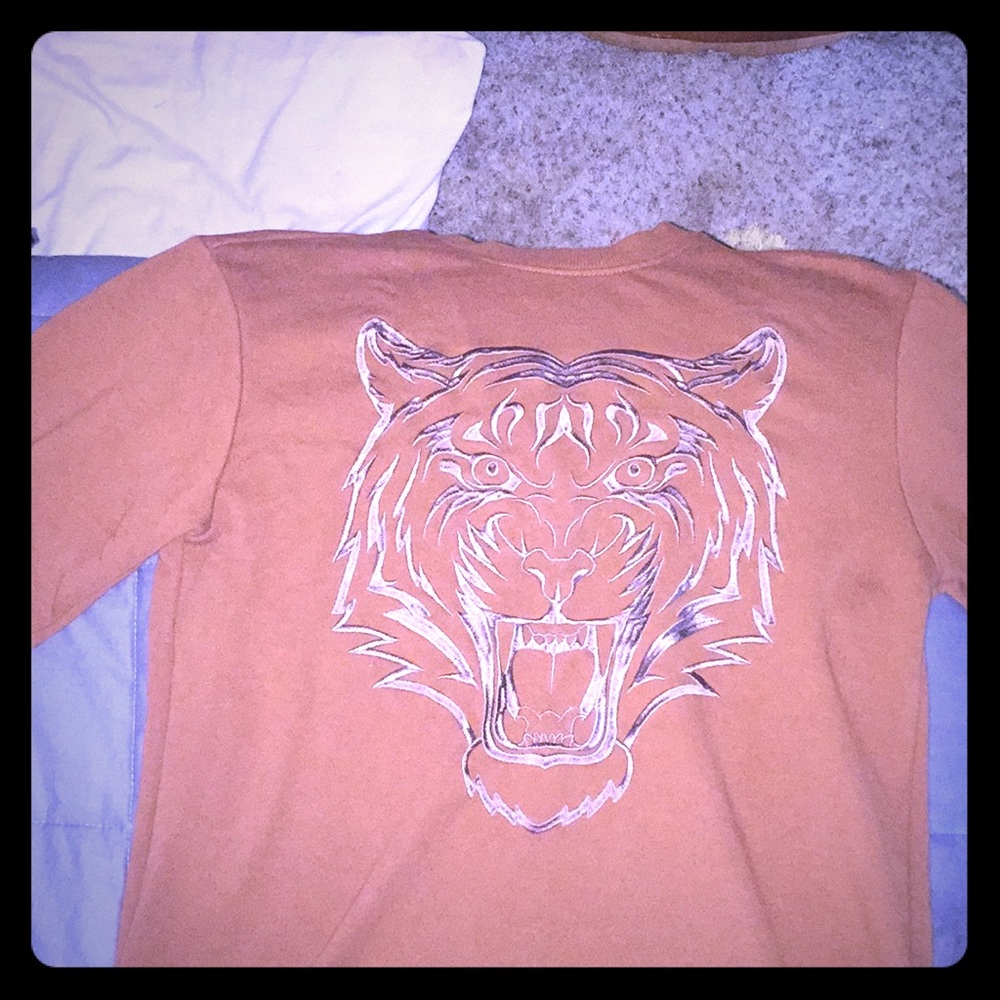 Brown and silver sweatshirt